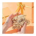 3D деревянный конструктор "Карета", в руках